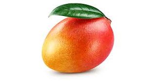 Mangue 