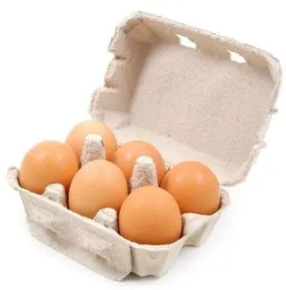 Oeufs x16
