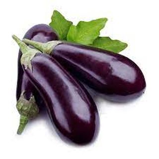 Aubergine (Pologne)