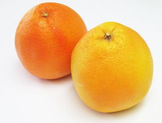 Pamplemousse (Afrique du Sud)