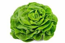 [DB20434] Salade (France)
