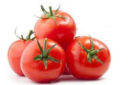 [DB03079] Tomate (Maroc)